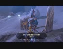 ゼルダの伝説　ブレス オブ ザ ワイルド　実況プレイPart231