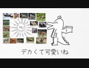 好きなワンちゃん発表ドラゴン / 初音ミク【好きな惣菜発表ドラゴン】