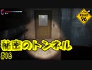 罠か？秘密のトンネルを使って脱国！！　5人目　[ROAD 96]