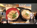 色々足りないうｐ主のゆっくり旅行記　沖縄編  第９話