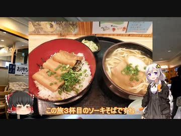 色々足りないうｐ主のゆっくり旅行記　沖縄編  第９話