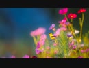 小さな喜び Small joys 【BGM】