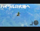 #9【ゼルダの伝説 ティアーズ オブ ザ キングダム】ハイラル大地降下作戦！
