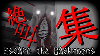 【切り抜き】美女４人の絶叫集【Escape the Backrooms】