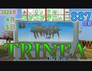 きょうのワンコンテニュー『TRINEA-トリネア-』