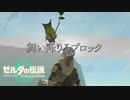 【ティアキン】舞い降りるブロック
