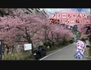 【CeVIO車載】フィーちゃんとだらだら二輪日記　伊豆周遊　その2