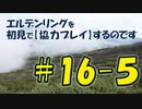 #16-5 エルデンリングを 初見で【協力プレイ】するのです