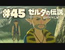 【ぽつぽつ実況 #45】マイハウス【ゼルダの伝説BoW】