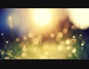 木漏れ日 Dappled sunlight 【フリーBGM】
