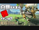 【ゼルダの伝説 BotW】#35　調子に乗って白銀ライネル行ってみた！