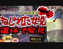 【2024年】リゾートプールで突然消えた女児 誘拐事件として捜索中、配管の中で体がねじ曲がった状態で発見される…『ダブルツリーホテル溺〇事故』【ゆっくり解説】