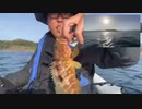【３時ニコ生録画】2024/03/29 08:00 ドライブ＆カヤック釣り配信 その①