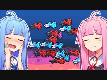 琴葉葵は茜ちゃんを育てたい！３【Chillquarium】
