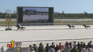 2023年8月11日名古屋競馬1R ２歳新馬 ミトノウォリアー