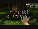ついにGET クワガタムシ ７日目 【ぼくなつ】