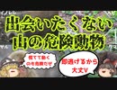 【ゆっくり解説】日本の山で遭遇する危険動物4種一言まとめ