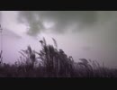 ★鮮やかな魔法の彩り★ ≪カラフルな魔法の世界へようこそ！！≫