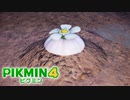 【ピクミン4】探索40日目の挑戦状その２。ついに白オニオン！？【ピクミン4/実況プレイ】