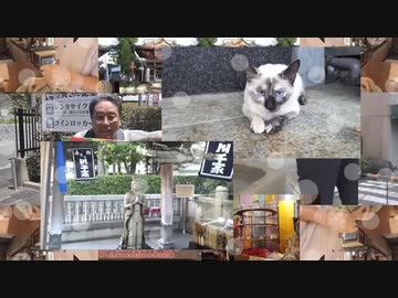 再びいでよ！柴又【MAD部門参加作品】