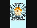 ハムスターに関する雑学 #雑学 #1分雑学 #ハムスター #動物