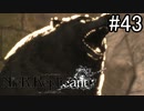 【実況】少年と白い本と呪われし妹君【ニーア レプリカント ver.1.22474487139...】part43