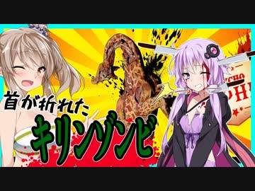 【ボイスロイド実況】たらい回しされるメインストーリー！あれ・・？この展開さっきもやってない？【WelcometoParadiZe #7】