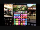 [パズドラ]スレイン降臨！　ジントニック×バレンタインディーナ