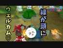 【ゆっくり実況】幻想郷のポンコツレーサーが走るマリカー prat27