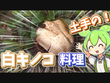 河川敷に生えてる白キノコを食べるずんだもん