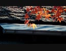 秋の詩 / 初音ミク cover