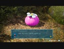 遊びつくしたいピクミン4【実況】 part49