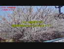 UMAJO？競馬予想「2024大阪杯編」