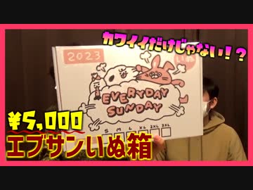 【￥5,000】今どきのキャラはカワイイだけじゃない！？【EVERYDAY SUNDAYいぬ箱】