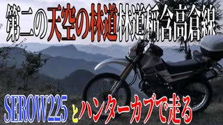 【ななまる日記】セロー225とハンター二台で走る第二の天空の林道、稲含高倉線