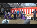 てんしゃばフェスタ踊り子隊　第47回多摩胡町桜まつり　舞っちゃげDAYS