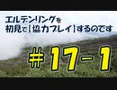 #17-1 エルデンリングを 初見で【協力プレイ】するのです