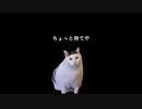 【猫ミーム】限界オタクがTRIGUNに出会った話