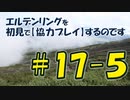 #17-5 エルデンリングを 初見で【協力プレイ】するのです