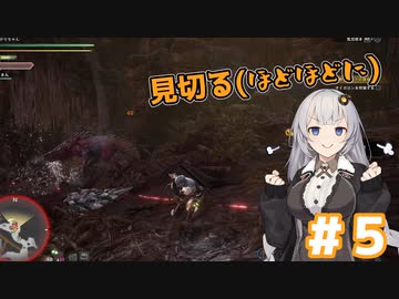 【MHW】今更始めるふんたー生活#5