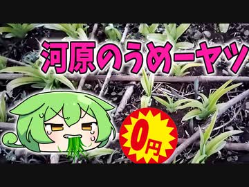 金がねーから雑草を食うのだ！！