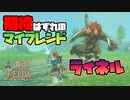 【ゼルダの伝説 BotW】#37　ライネルが全員強いと思うなよ！！