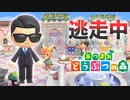 【あつ森】逃走中を森でやってみた サンリオ編 inずず★島【実況】あつまれどうぶつの森