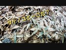 【第249回】あっただ！とアボカドのピンチとパンに季節感
