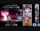 FGO レベル80デオン擬似単騎 「ヘブンズホール戦」24ターン
