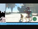 【生放送アーカイブ】ボス戦が長すぎるティアキン生放送21回目【4/8】
