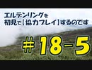 #18-5 エルデンリングを 初見で【協力プレイ】するのです