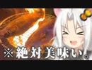 高知のレアスポットを巡ってキャンツ―した結果…！【VOICEROID車載】