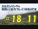 #18-11 エルデンリングを 初見で【協力プレイ】するのです