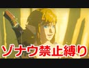 ゾナウ禁止縛りpart23【ティアキン/制限プレイ/ゼルダの伝説ティアーズオブザキングダム】